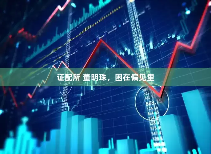 证配所 董明珠，困在偏见里