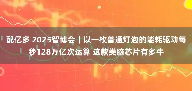 配亿多 2025智博会｜以一枚普通灯泡的能耗驱动每秒128万亿次运算 这款类脑芯片有多牛